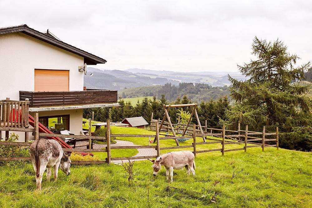 Pension Haus Am Einberg Meschede Kültér fotó